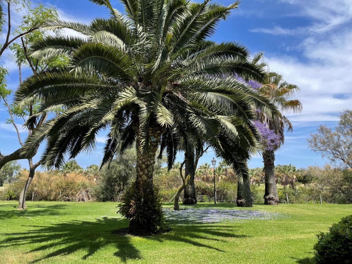 איסלה קנלה Golf, Kitesurf, Tennis, Paddle, Free Bicycles - Apartment Andalusia מראה חיצוני תמונה